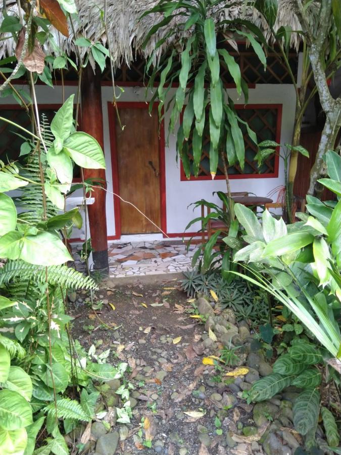 Cabinas Talamanca Sa Hotel Puerto Viejo de Talamanca ภายนอก รูปภาพ