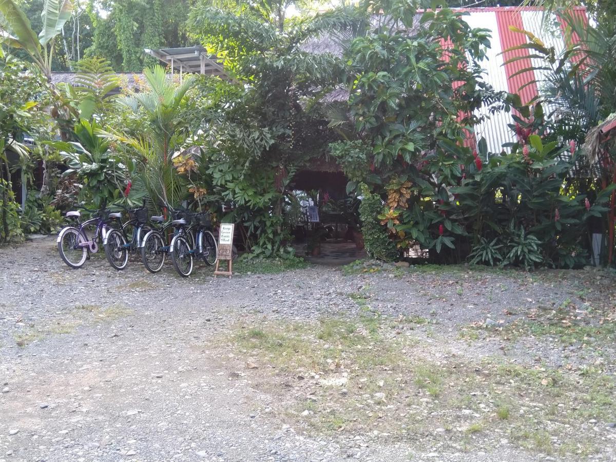 Cabinas Talamanca Sa Hotel Puerto Viejo de Talamanca ภายนอก รูปภาพ
