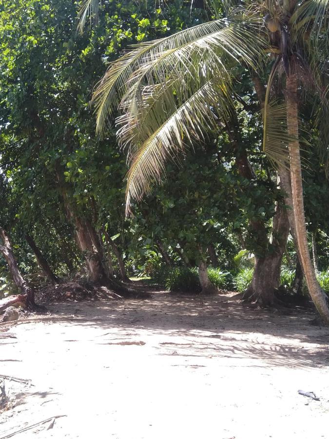 Cabinas Talamanca Sa Hotel Puerto Viejo de Talamanca ภายนอก รูปภาพ