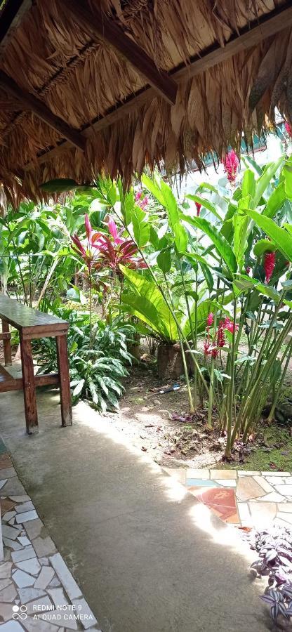 Cabinas Talamanca Sa Hotel Puerto Viejo de Talamanca ภายนอก รูปภาพ